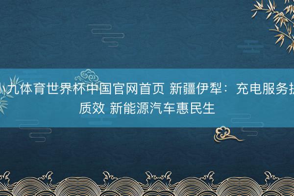 小九体育世界杯中国官网首页 新疆伊犁:充电服务提质效 新能源汽车惠民生