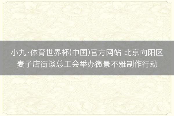 小九·体育世界杯(中国)官方网站 北京向阳区麦子店街谈总工会举办微景不雅制作行动