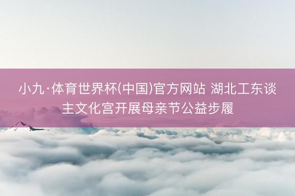 小九·体育世界杯(中国)官方网站 湖北工东谈主文化宫开展母亲节公益步履