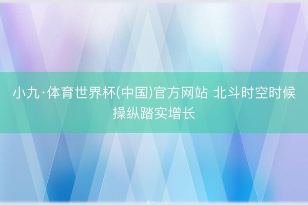 小九·体育世界杯(中国)官方网站 北斗时空时候操纵踏实增长