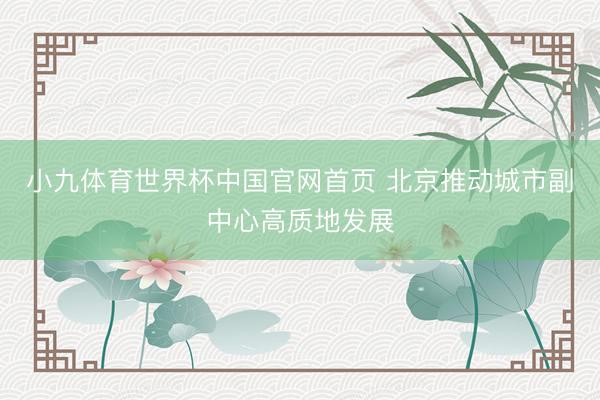 小九体育世界杯中国官网首页 北京推动城市副中心高质地发展
