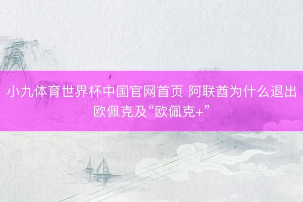 小九体育世界杯中国官网首页 阿联酋为什么退出欧佩克及“欧佩克+”