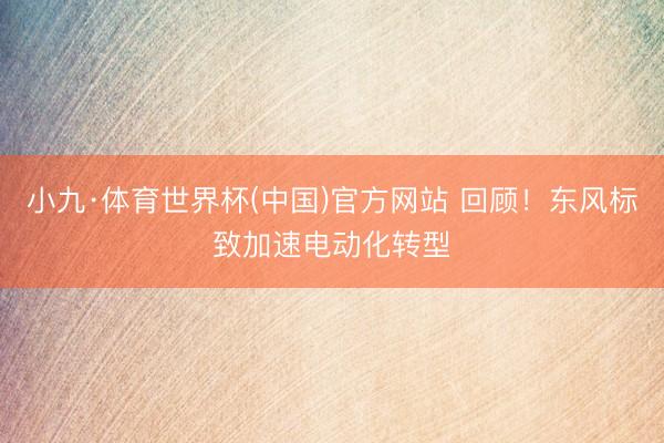 小九·体育世界杯(中国)官方网站 回顾！东风标致加速电动化转型
