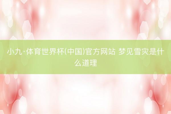 小九·体育世界杯(中国)官方网站 梦见雪灾是什么道理
